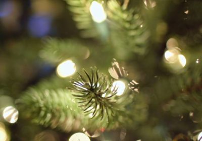 Read more about Christmas office closure