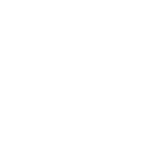 Pregnancy services